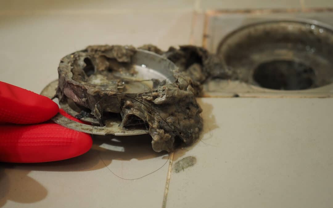 Clean Drains, Healthy Homes: Why Regular Drain Maintenance Matters More Than You Think