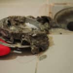 Why Regular Drain Maintenance Matters